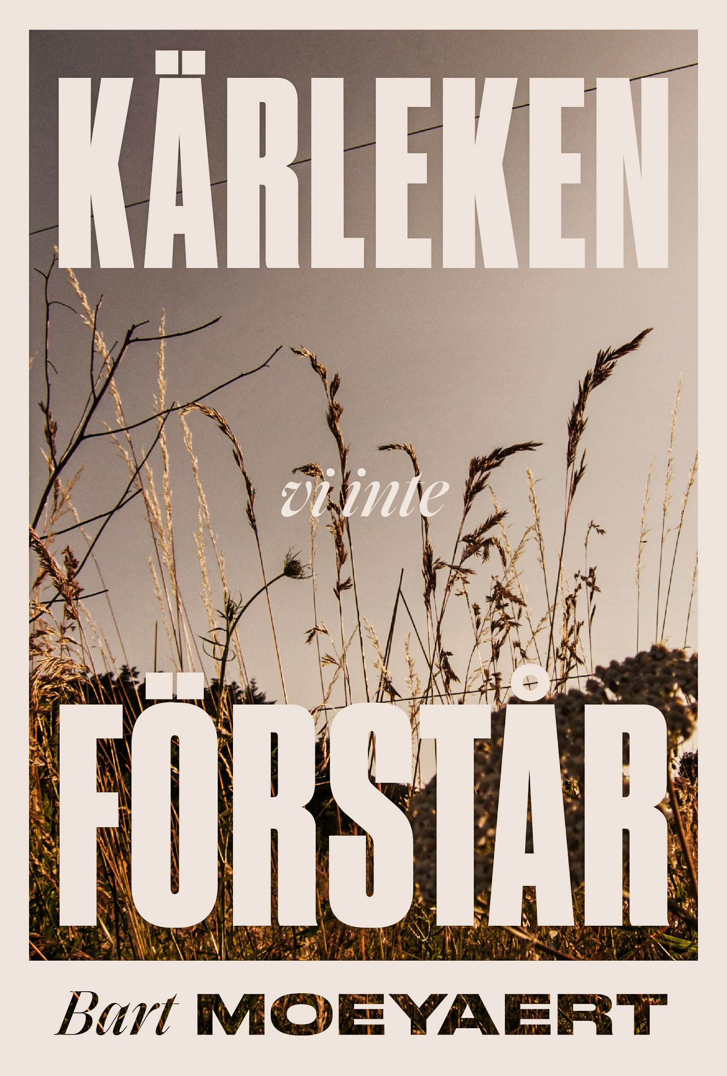 kkarleken-vi-inte-forstar_inb