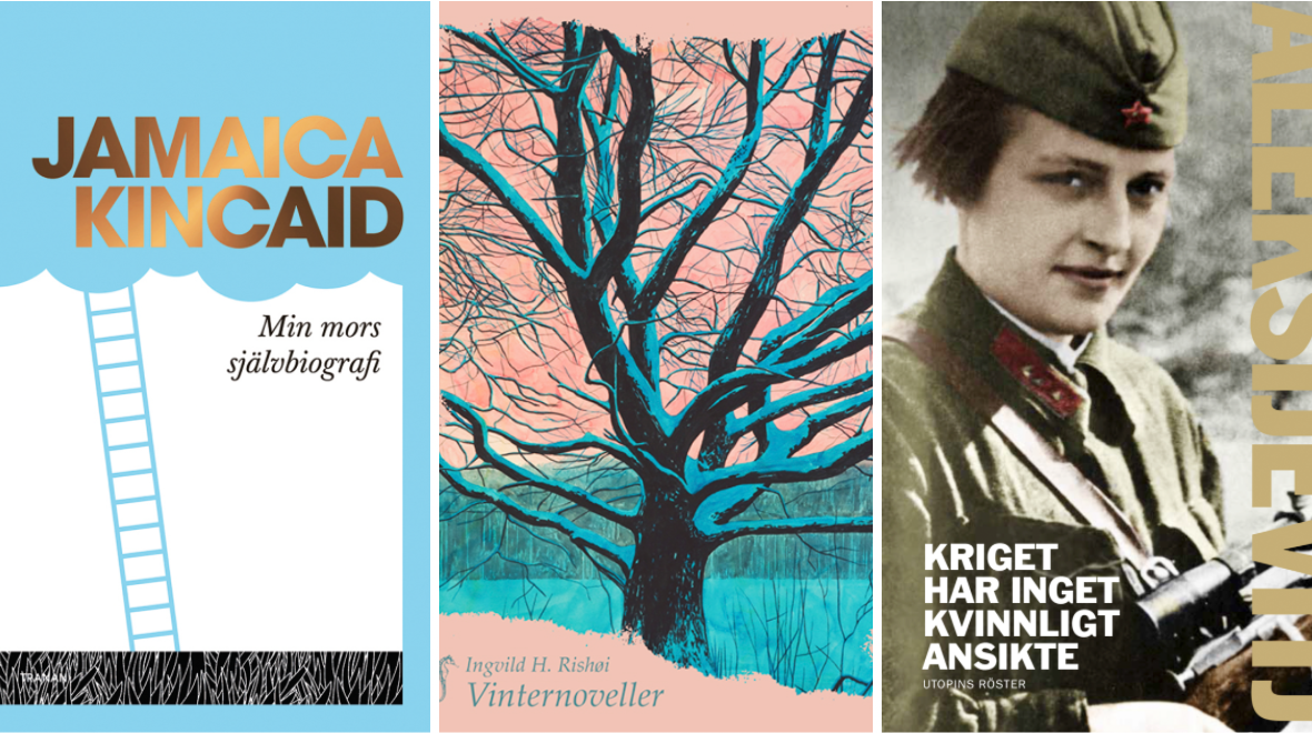 skarmavbild-2019-12-31-kl-12-00-56