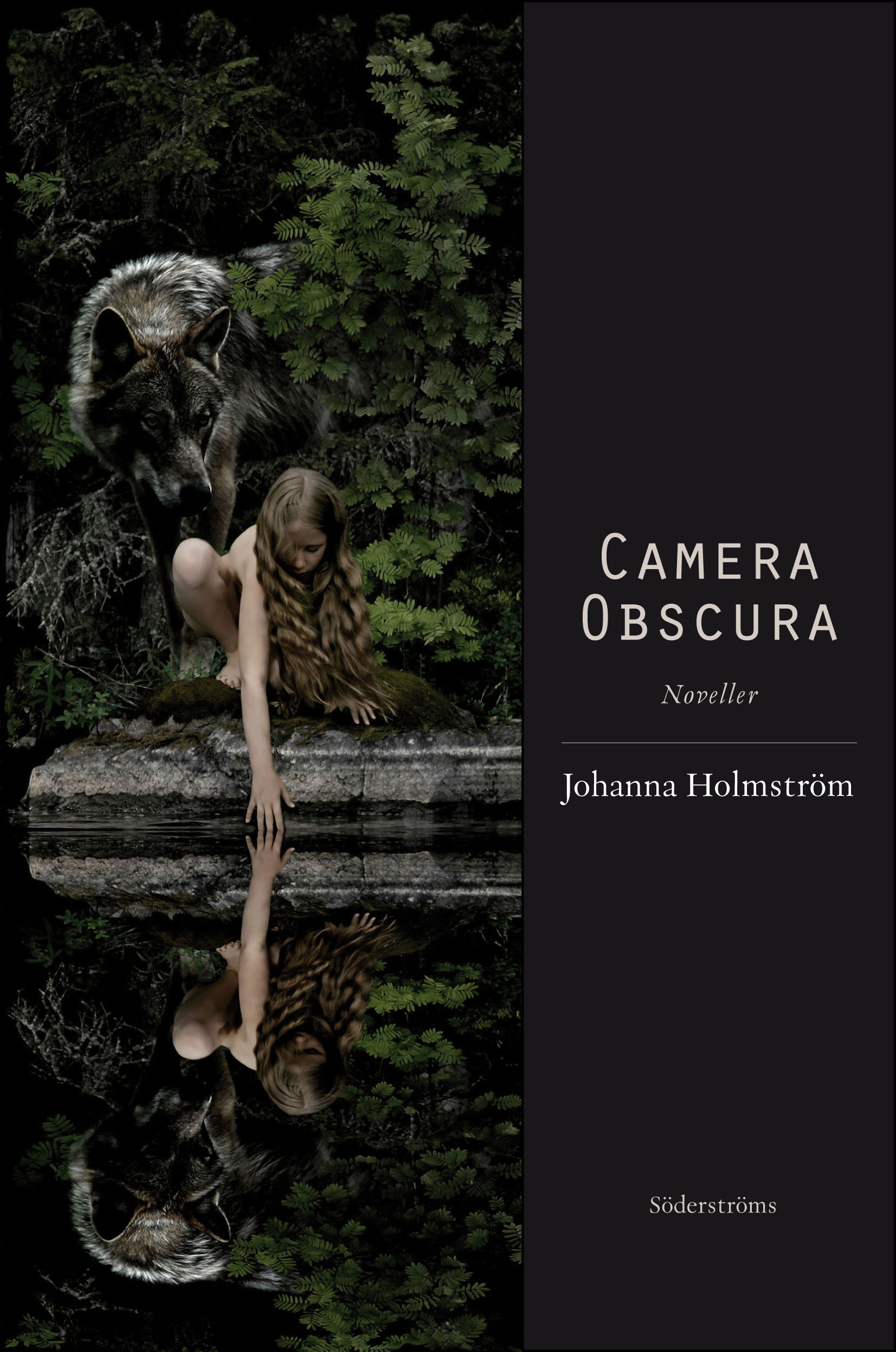 Camera Obscura Vi Läser