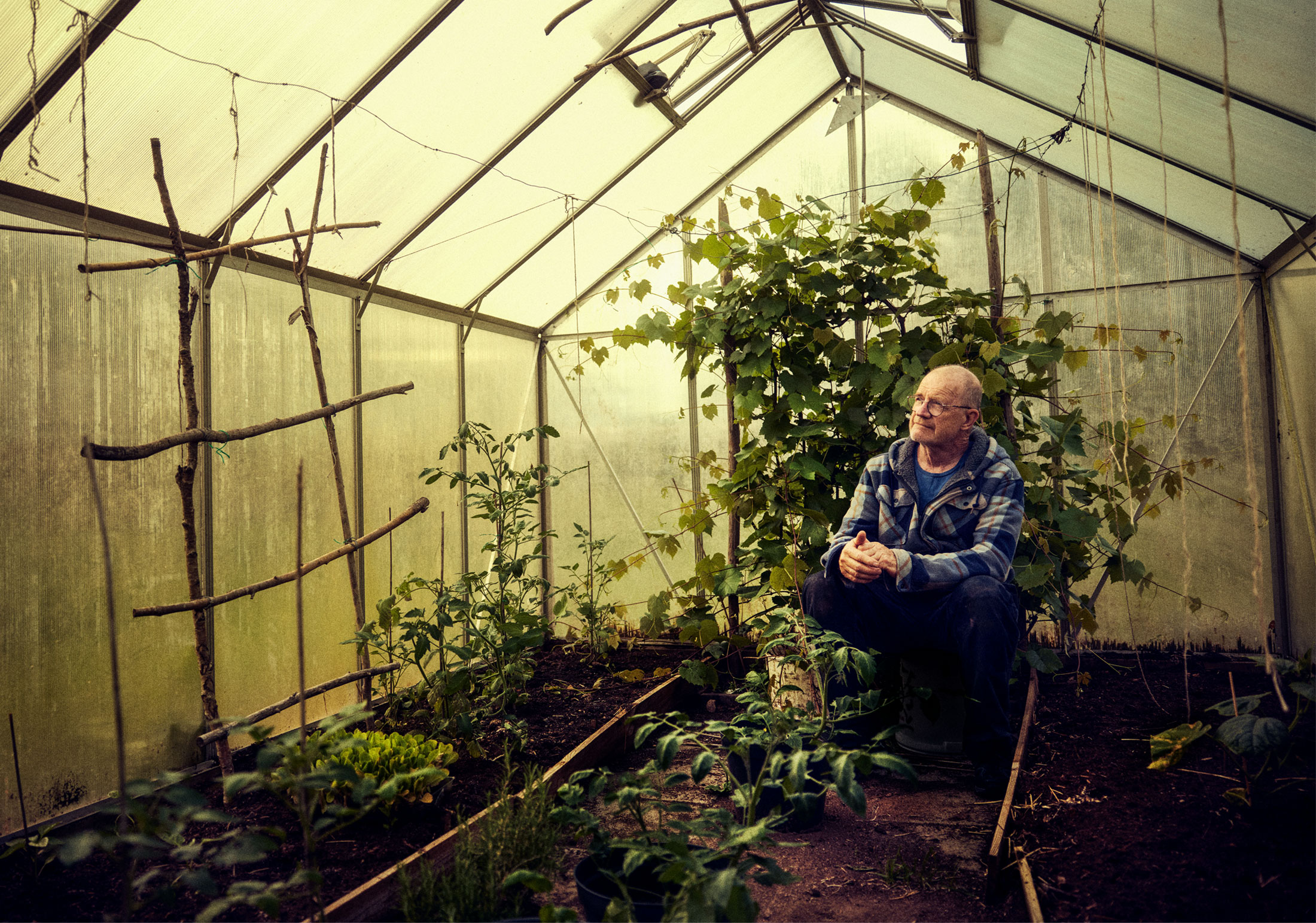 karlekenssprakherobild