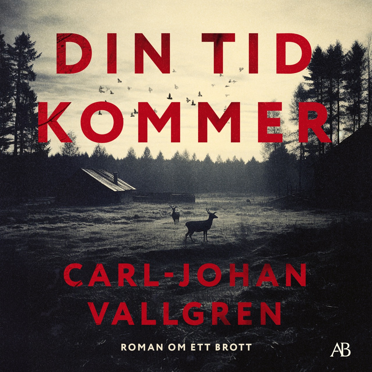 dintidkommer